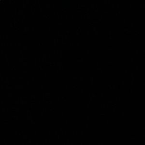 Meet your Posher, Siena